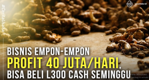 usaha empon empon sukses